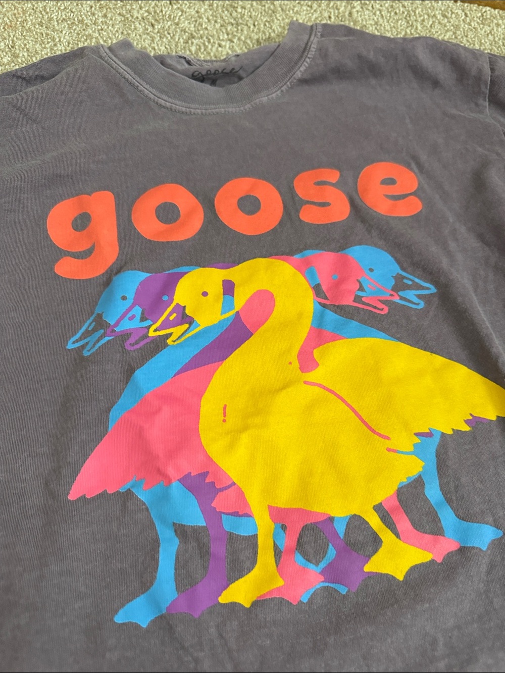 Goose Graphic Tee with Neon Goose Print size M - Picture 2 of 4